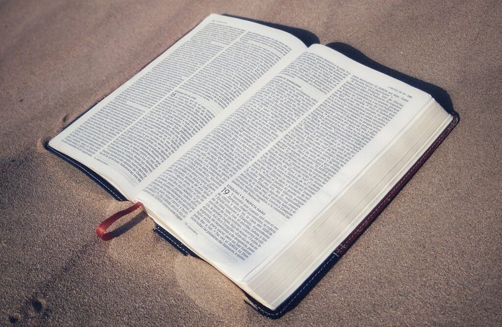 biblia, sagradas escrituras, santa biblia, salmos, libro divino, leer, desierto, sequia espiritual, sagrada, sagrada escritura, sed